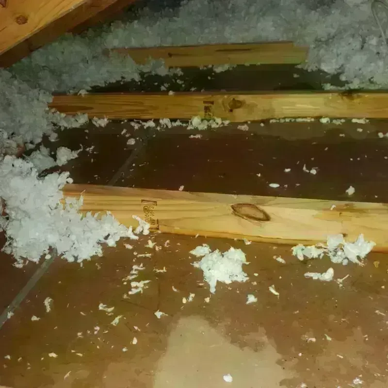 Attic Water Damage in Baxter Estates, NY